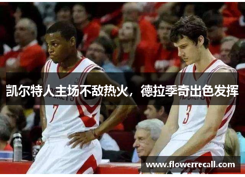 凯尔特人主场不敌热火，德拉季奇出色发挥