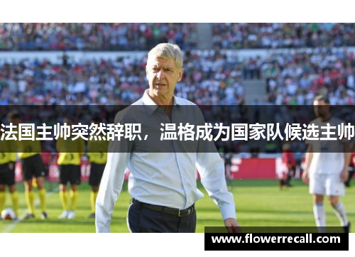法国主帅突然辞职，温格成为国家队候选主帅
